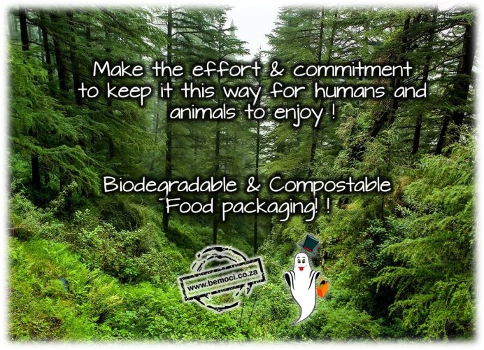 Cornstarch Sugar Cane Bags Food Packaging Bags