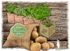 Hessian Jute Burlap Grow Bags Sacks, Flower Herb Vegetable Seedling Grow Sacks Biodegradable Compostable.