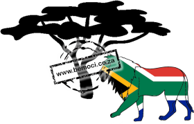 South Africa Flag Big 5 Lion Acacia Fever Tree. South Africa Flag Big 5 Lion Acacia Fever Tree.