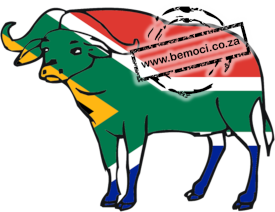 South Africa Flag Big 5 Buffalo Print Embroidery Design