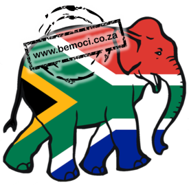 South African Flag Big 5 Elephant Print Embroidery Design