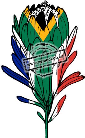 South Africa Flag Protea Print Embroidery Design