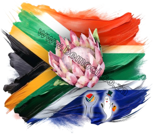 South Africa Cricket Proteas Supporter Souvenir Bags & Clothing