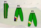Green Gold White SA South Africa Flag Tracksuit Pants.